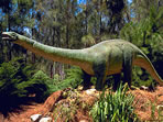 Dinosaurus Slide Show